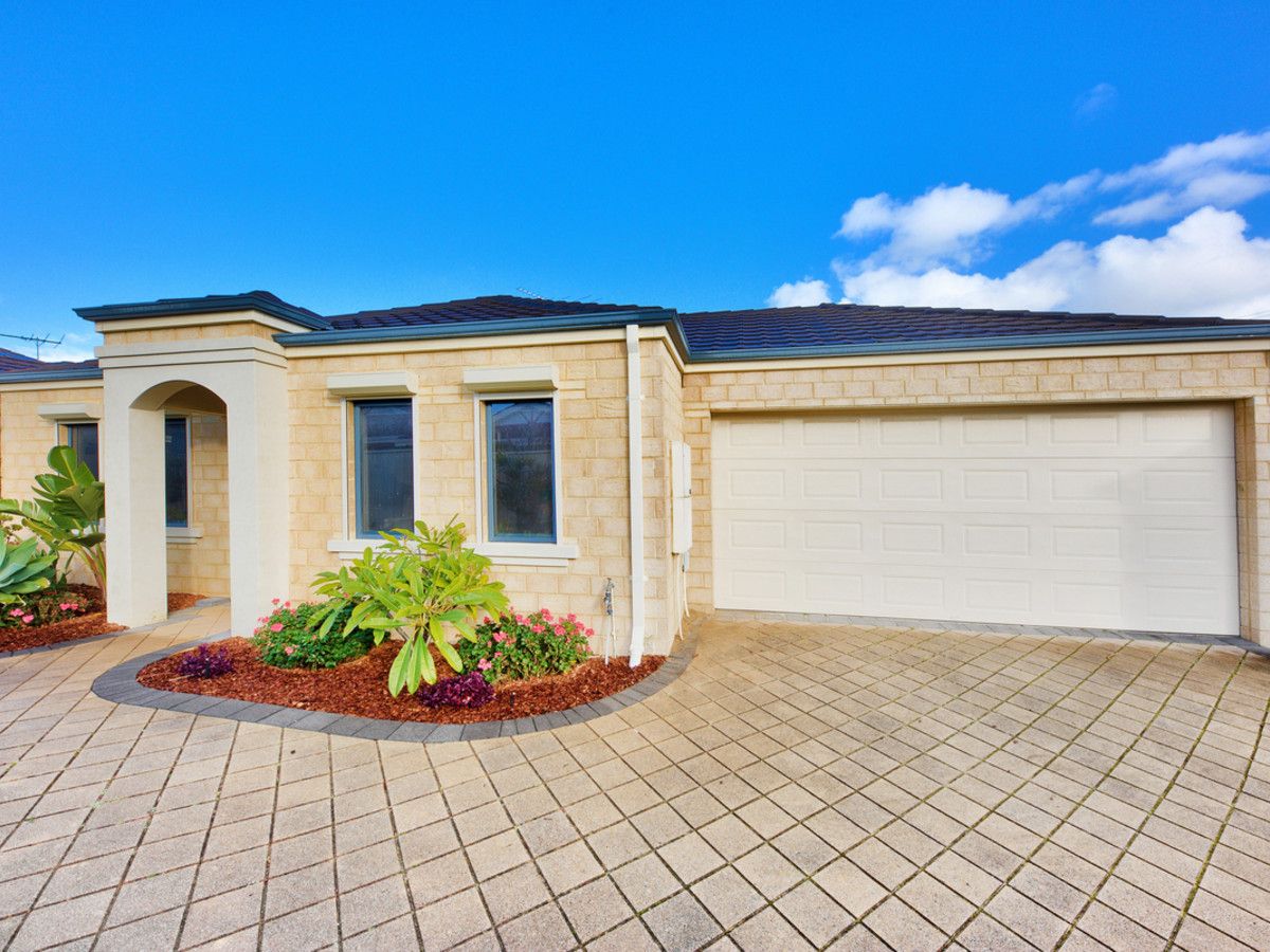 56B Blythe Avenue, Yokine WA 6060, Image 0