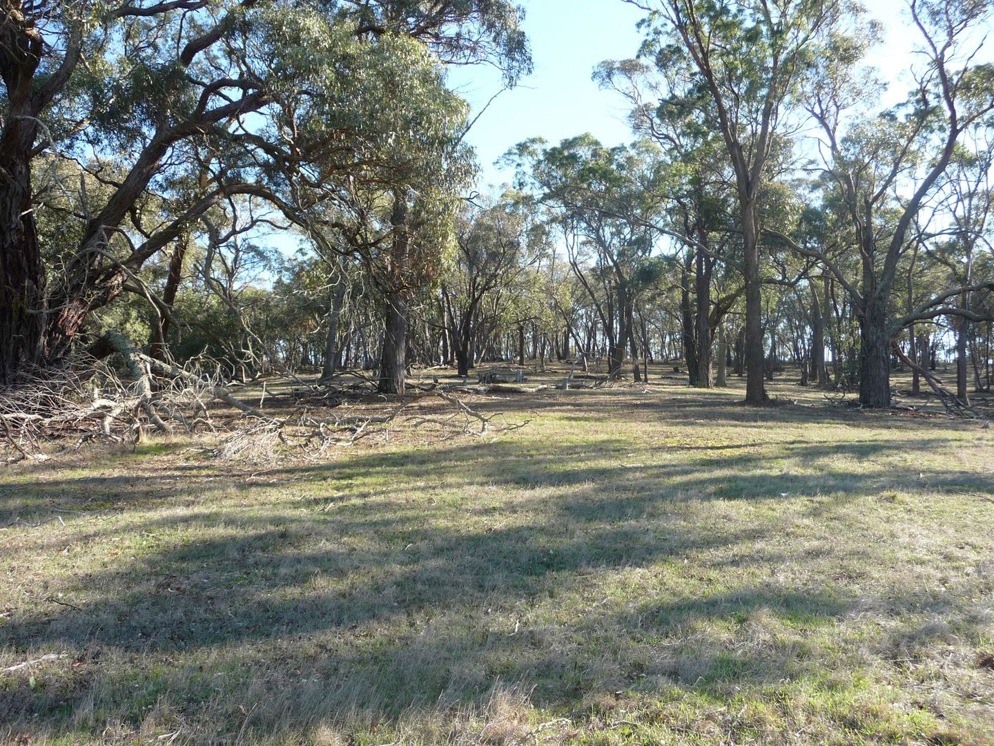 Lot 1/213 Beaufort-Lexton Road, Beaufort VIC 3373, Image 1