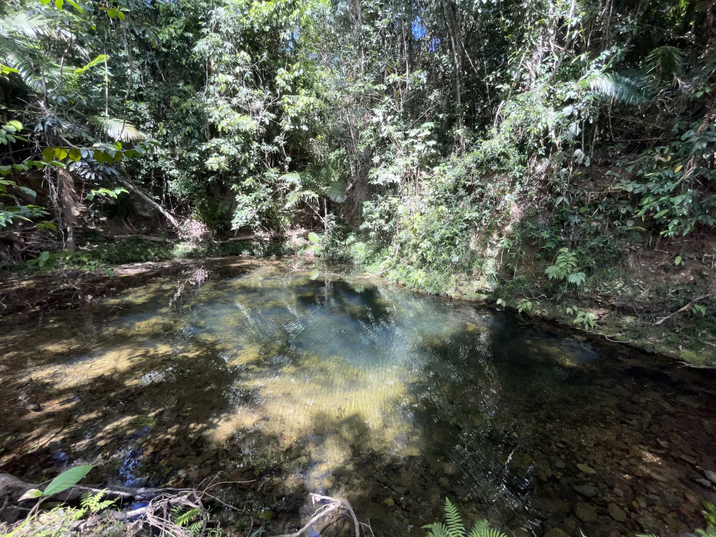 Image 32