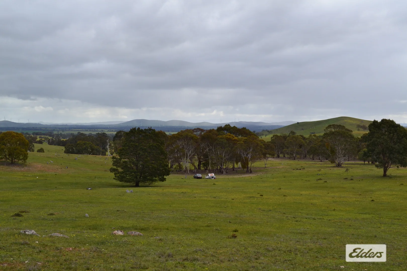 Image 16