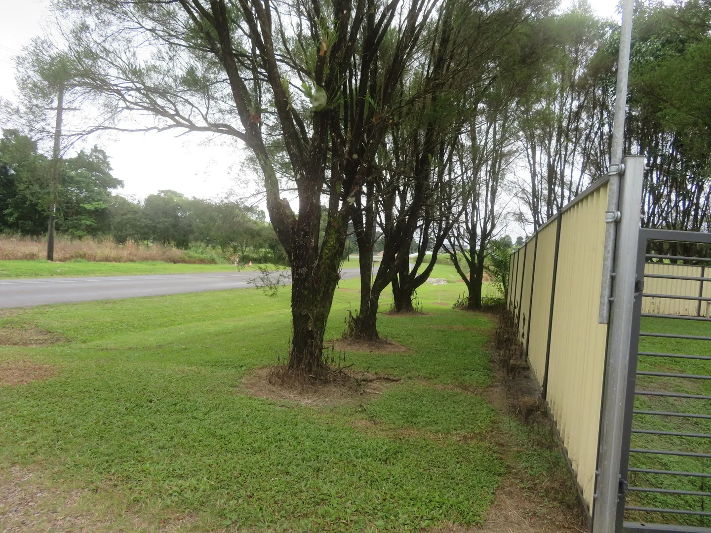 Image 15