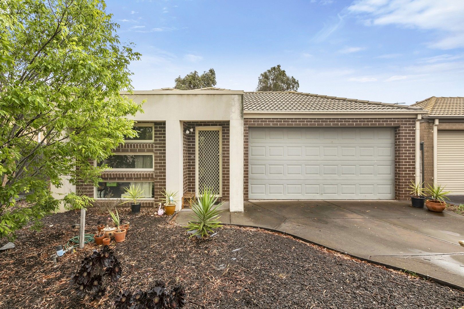 4 bedrooms House in 6 Circuit Drive TRUGANINA VIC, 3029