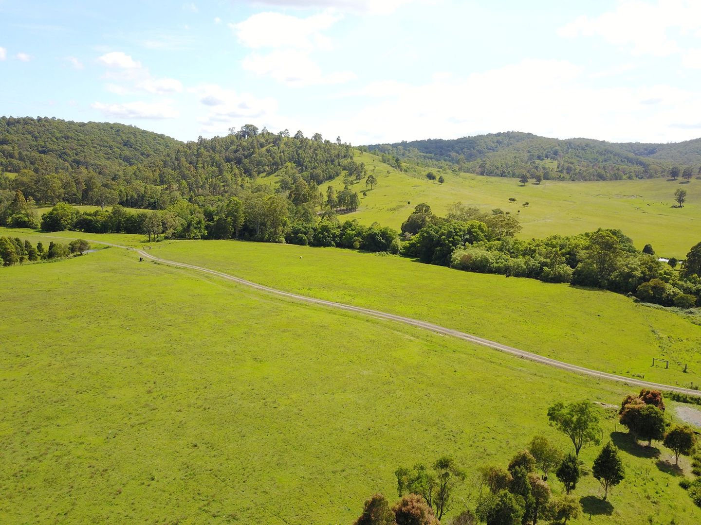 Lot 1/937 Flat Tops Road, Cambra Via, Dungog NSW 2420, Image 1