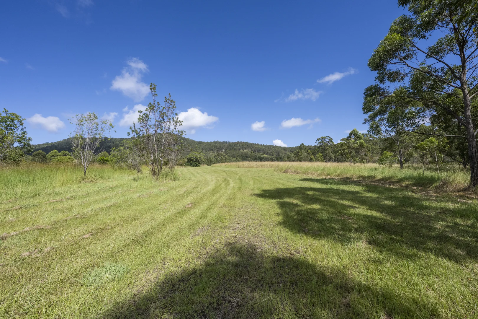 Additional image 7 of 800 Firth Heinz Road, Pillar Valley NSW 2462