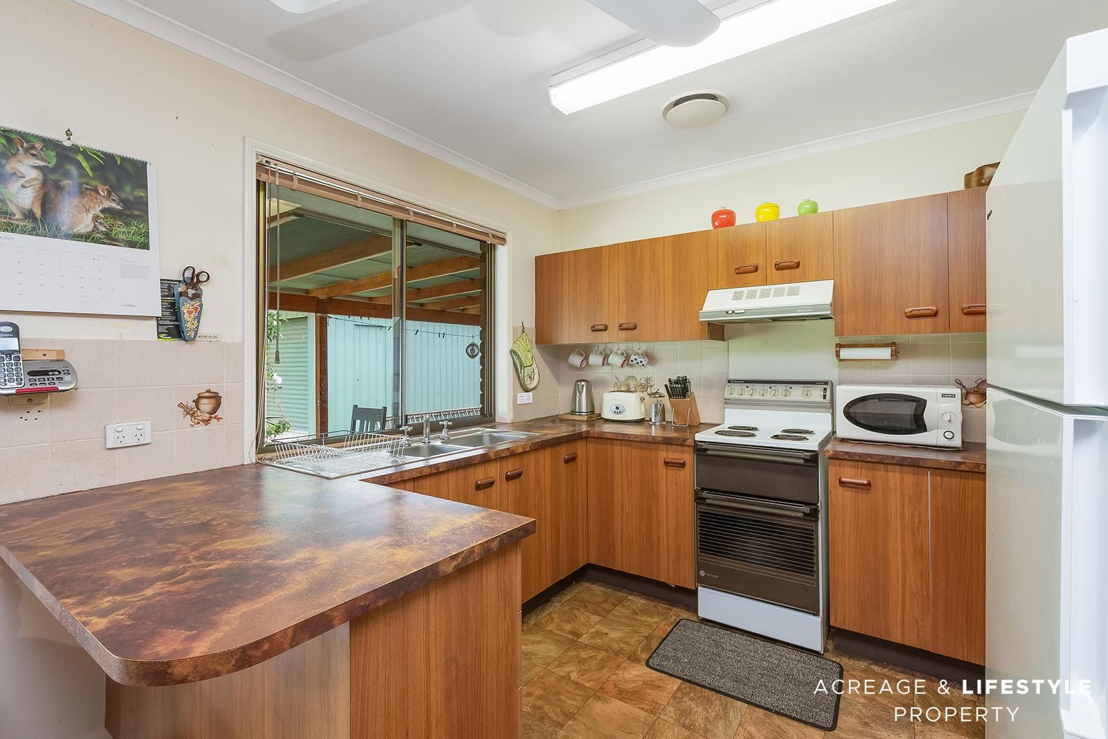 37 Bernborough Way, Ningi QLD 4511, Image 1