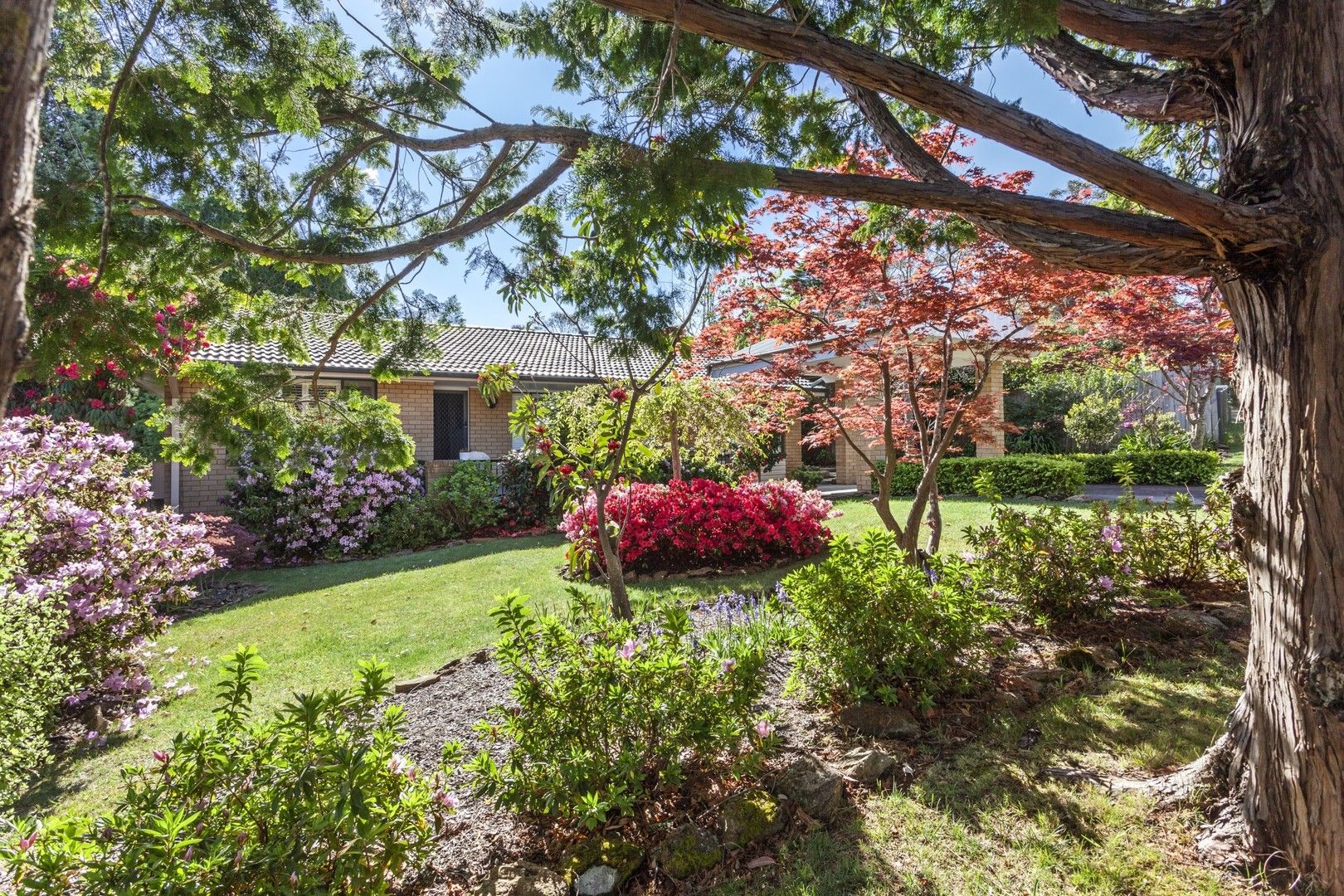 25 Asquith Avenue, Wentworth Falls NSW 2782 Domain