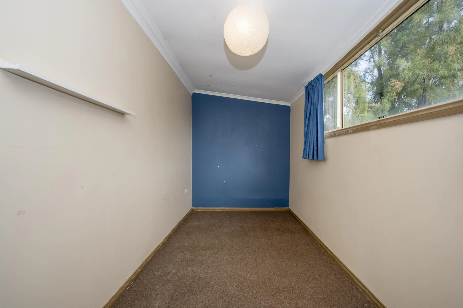 Image 20