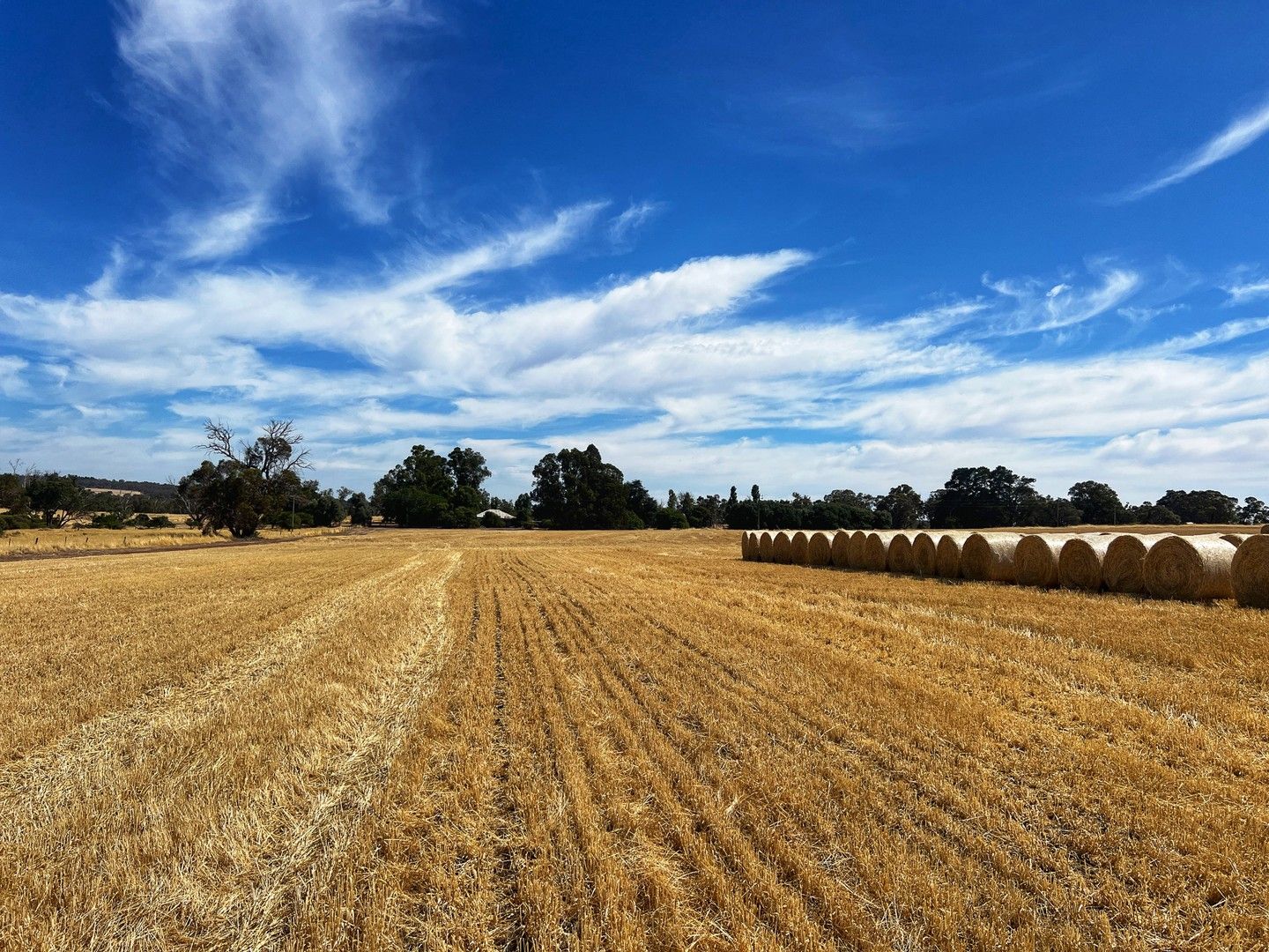 Darganullup 1431 Boyup Brook - Kojonup Road, Mayanup WA 6244, Image 0