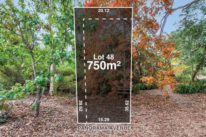 Picture of Lot 48 Panorama Drive, HAWTHORNDENE SA 5051