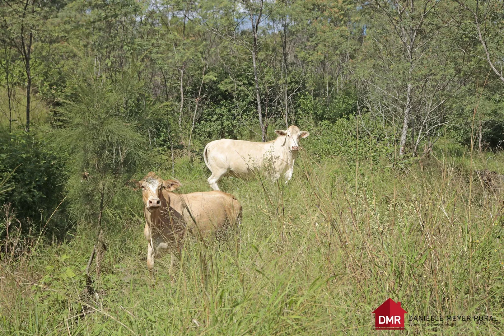 Additional image 25 of Eidsvold QLD 4627