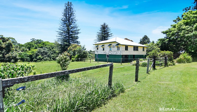 Picture of 19 Tamarind Street, MALENY QLD 4552