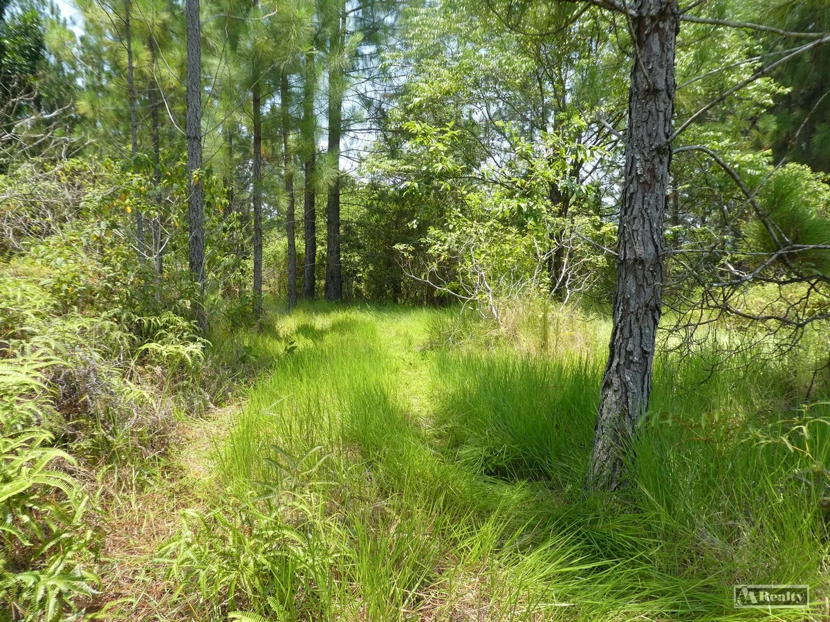 Additional image 6 of Eubenangee QLD 4860