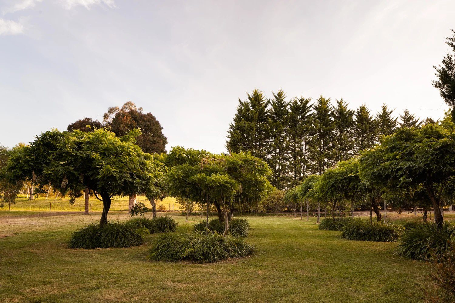 Additional image 33 of 7 Maddens Lane, Coldstream VIC 3770