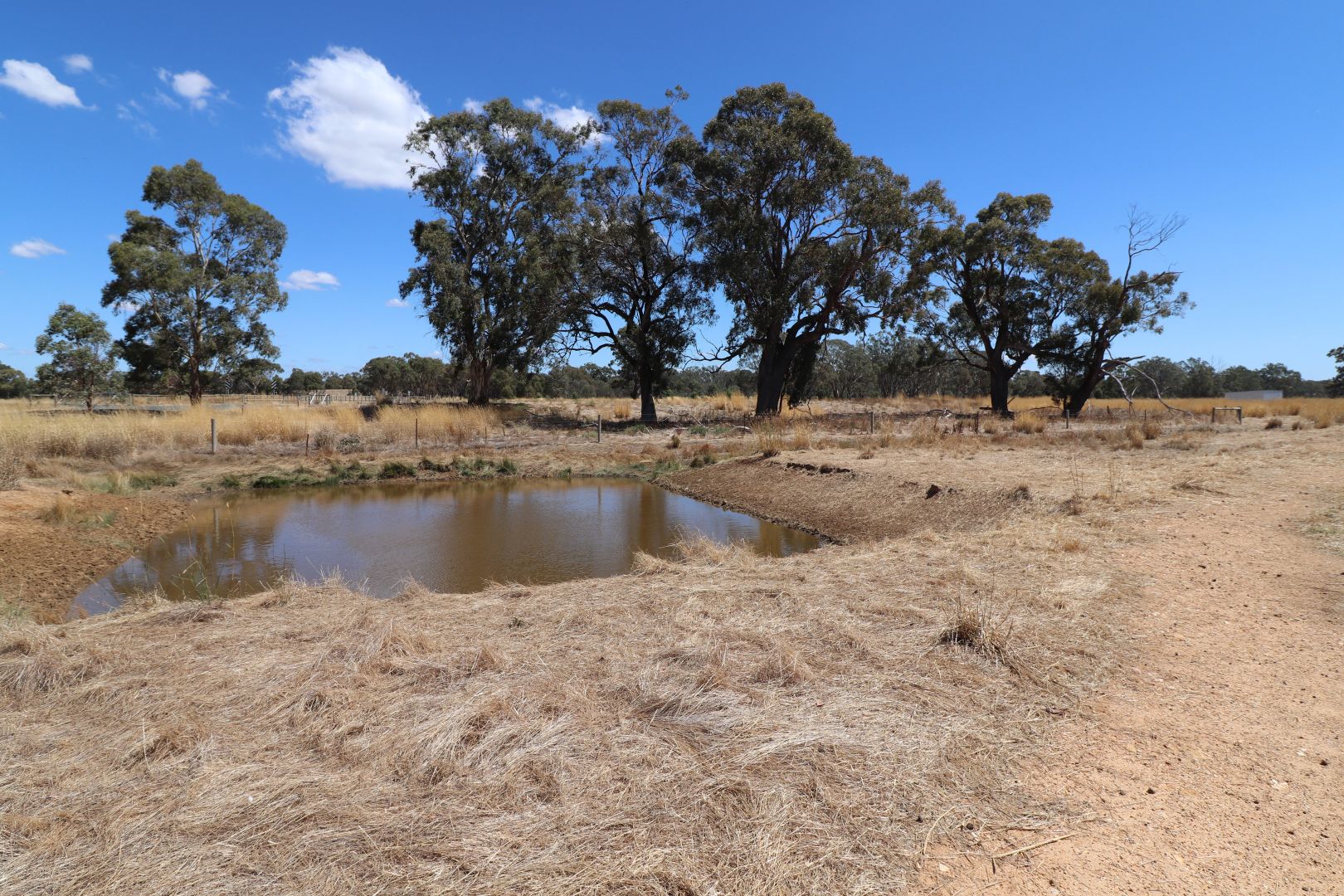 20 Old Whroo Road, Murchison VIC 3610 House for Sale 750,000