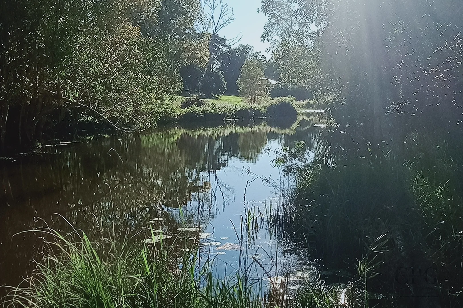 Image 8
