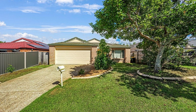 Picture of 8 Nicola Way, UPPER COOMERA QLD 4209