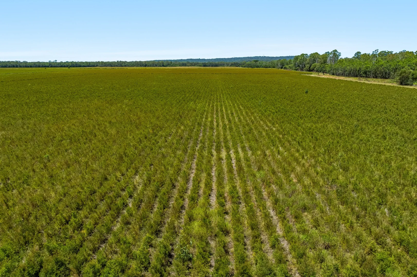 Additional image 14 of 1190 Bungawalbin Whiporie Road, Bungawalbin NSW 2469