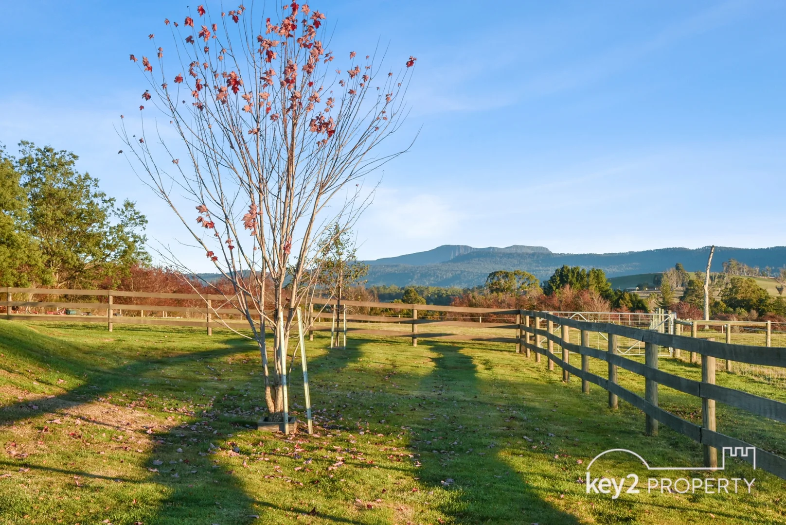 Image 26