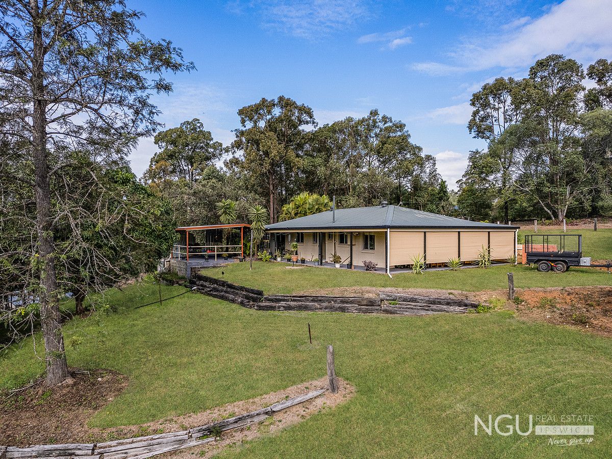 113 Velvet Street, Pine Mountain QLD 4306, Image 0