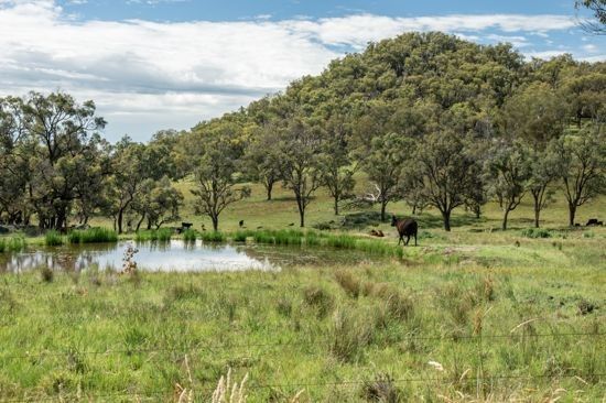 Watsons Creek NSW 2355, Image 2