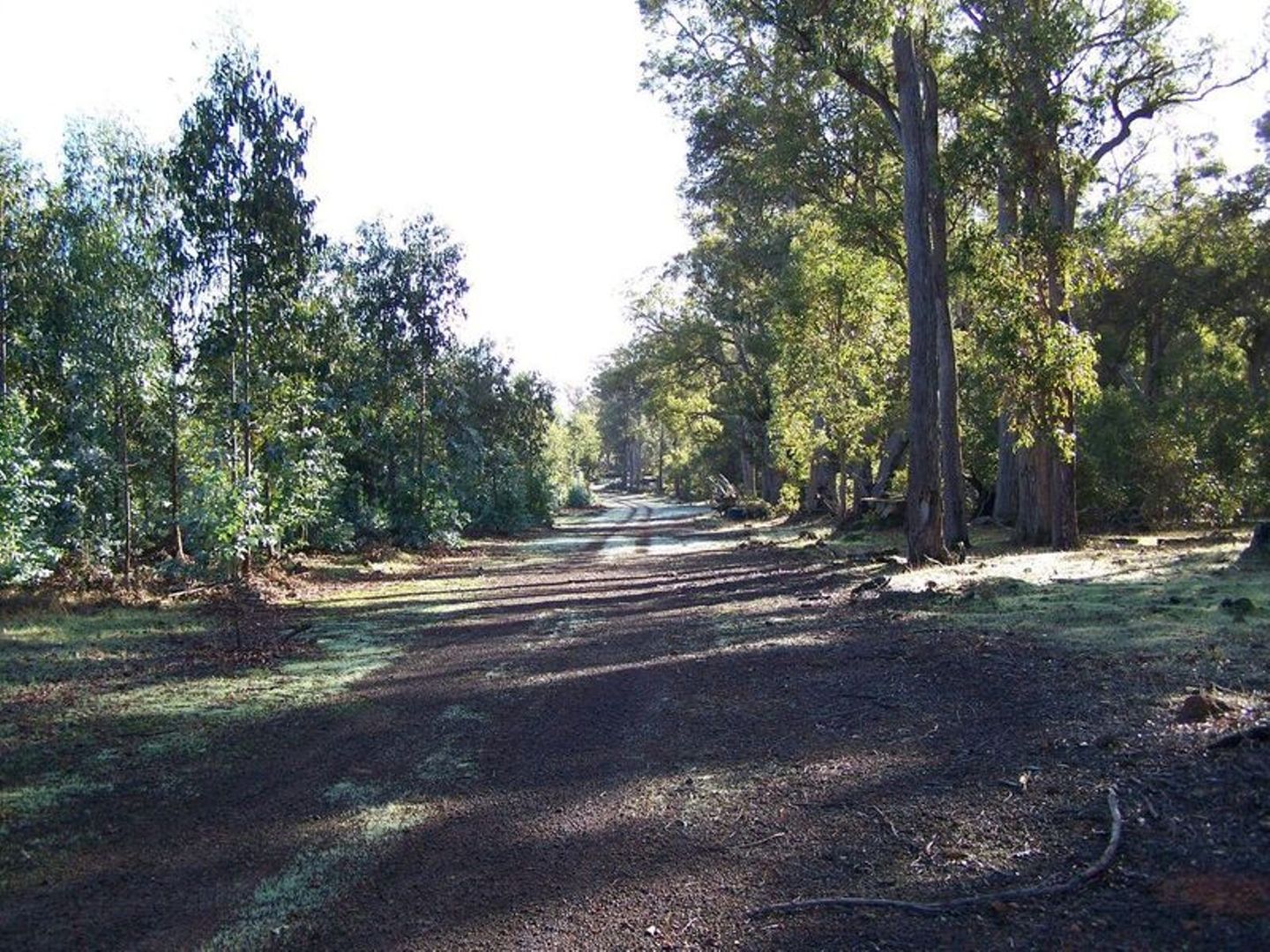 Lot 11 Woodland Rise, Yabberup WA 6239, Image 1