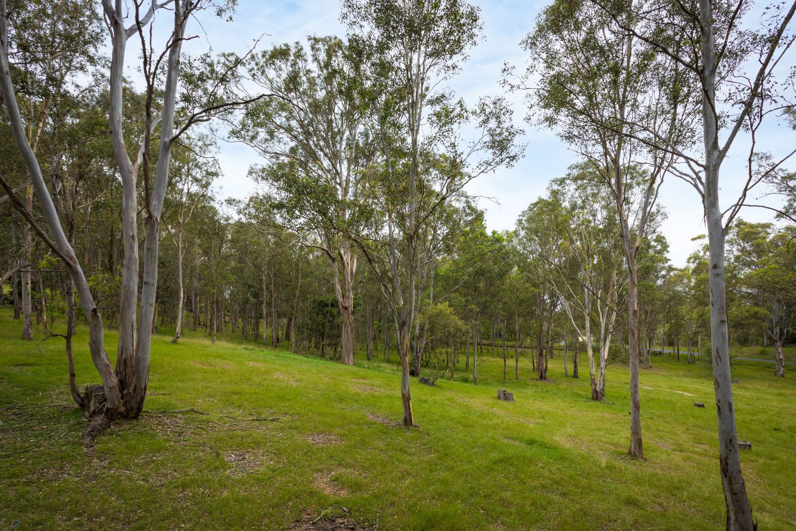 130 Greendale Lane, Wolumla NSW 2550, Image 2