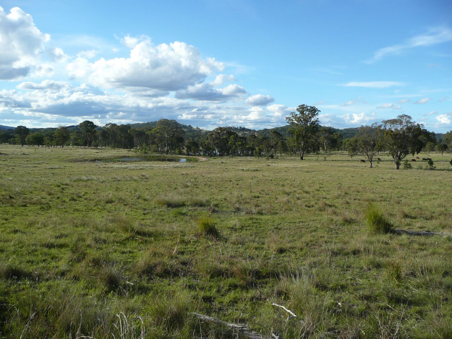 Lot 11 Saxby Road, Ballandean QLD 4382