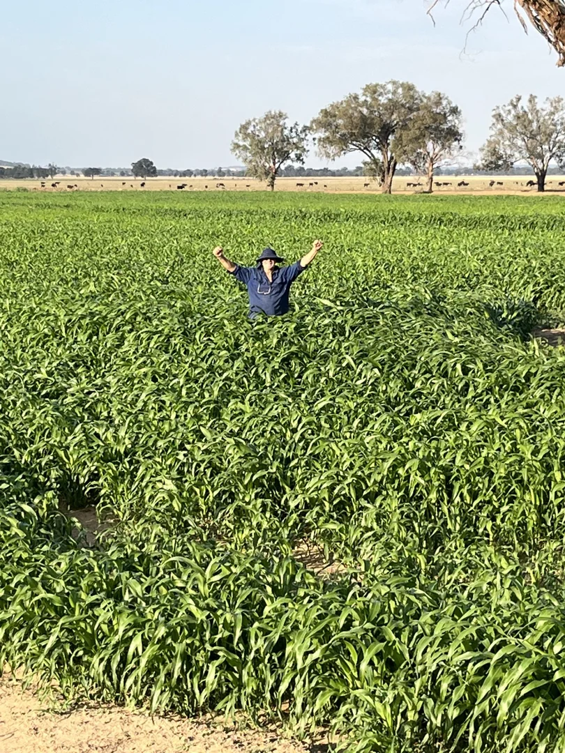 Image 12