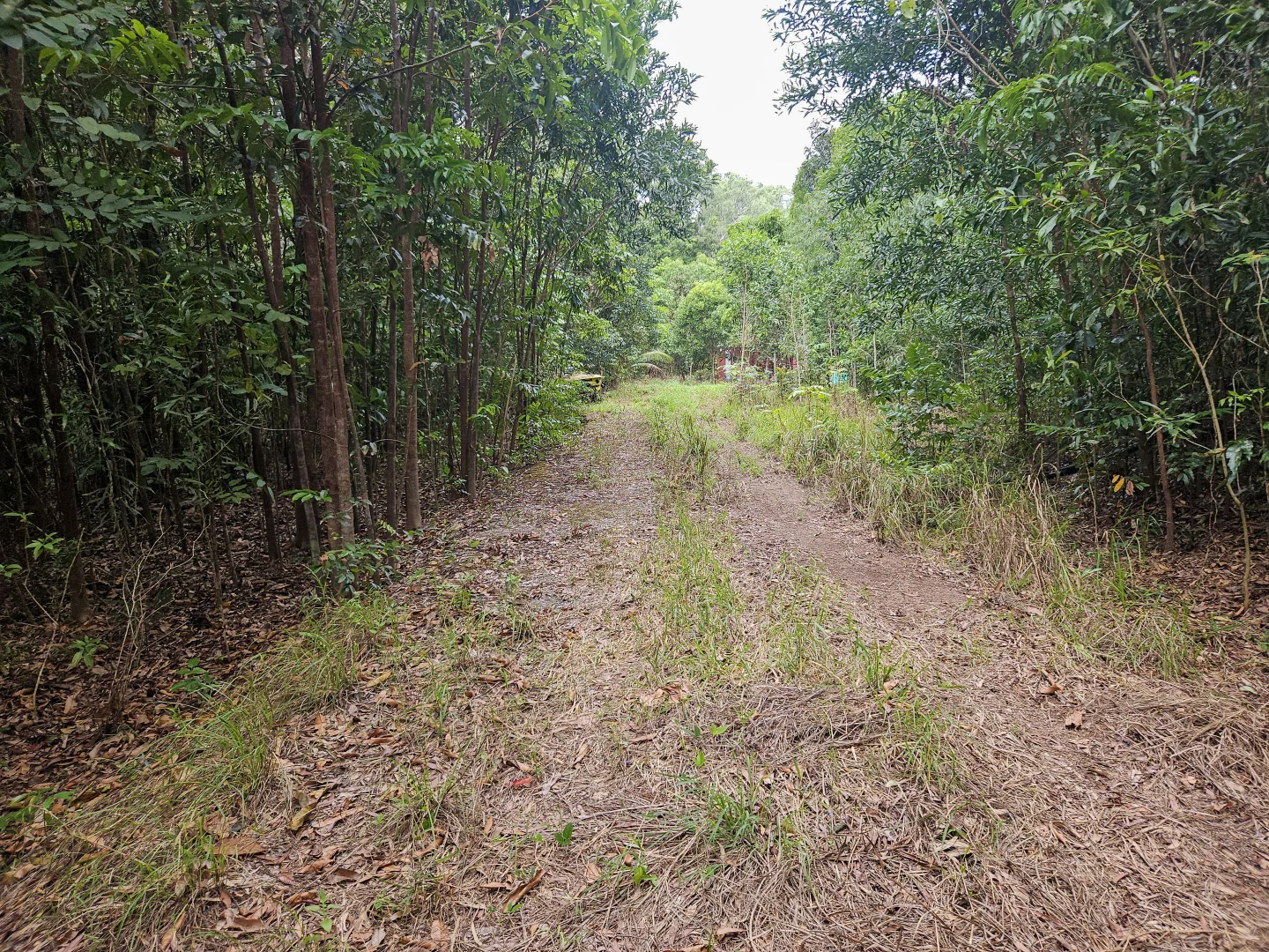 Image 9