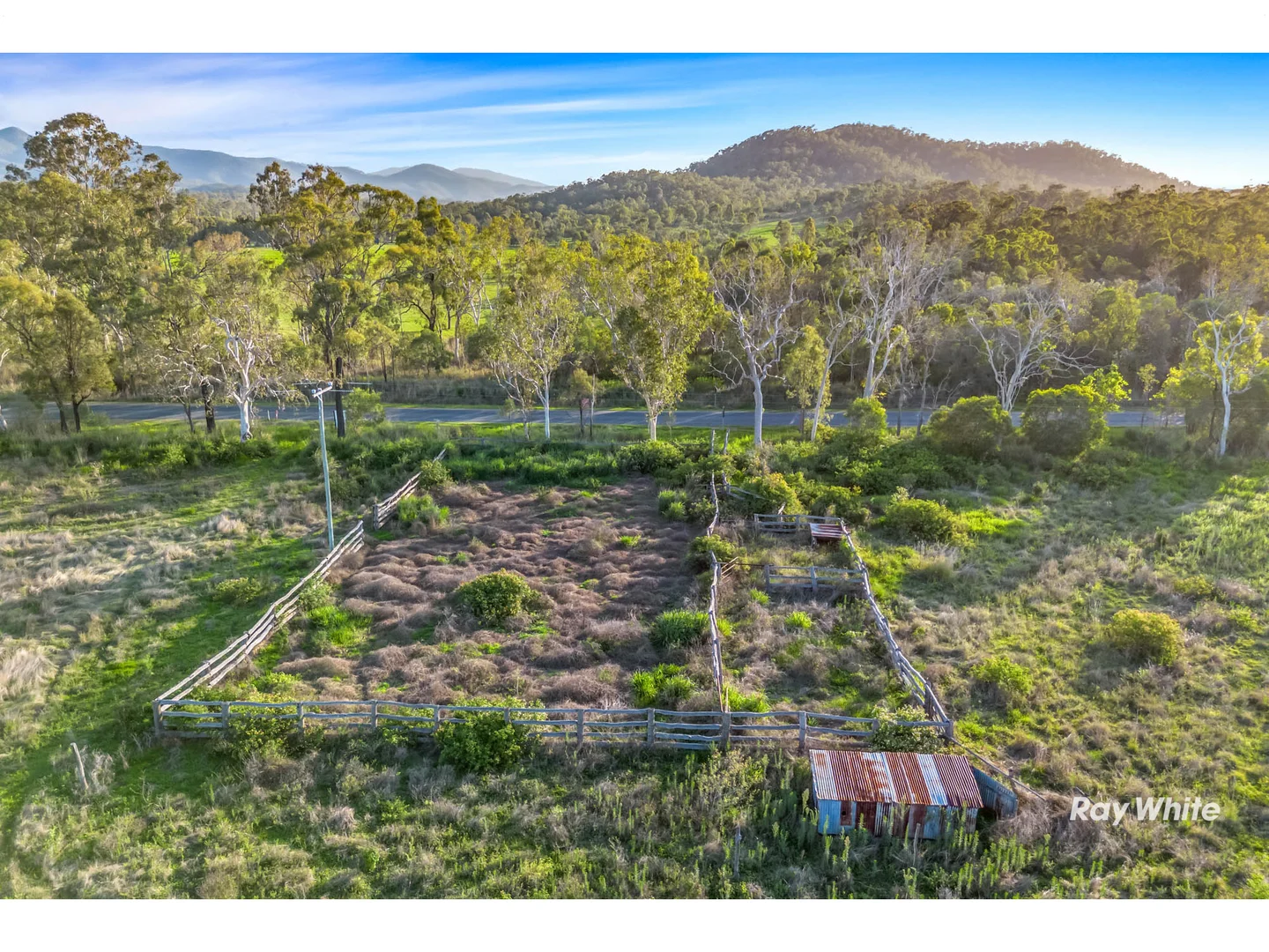 Image 10