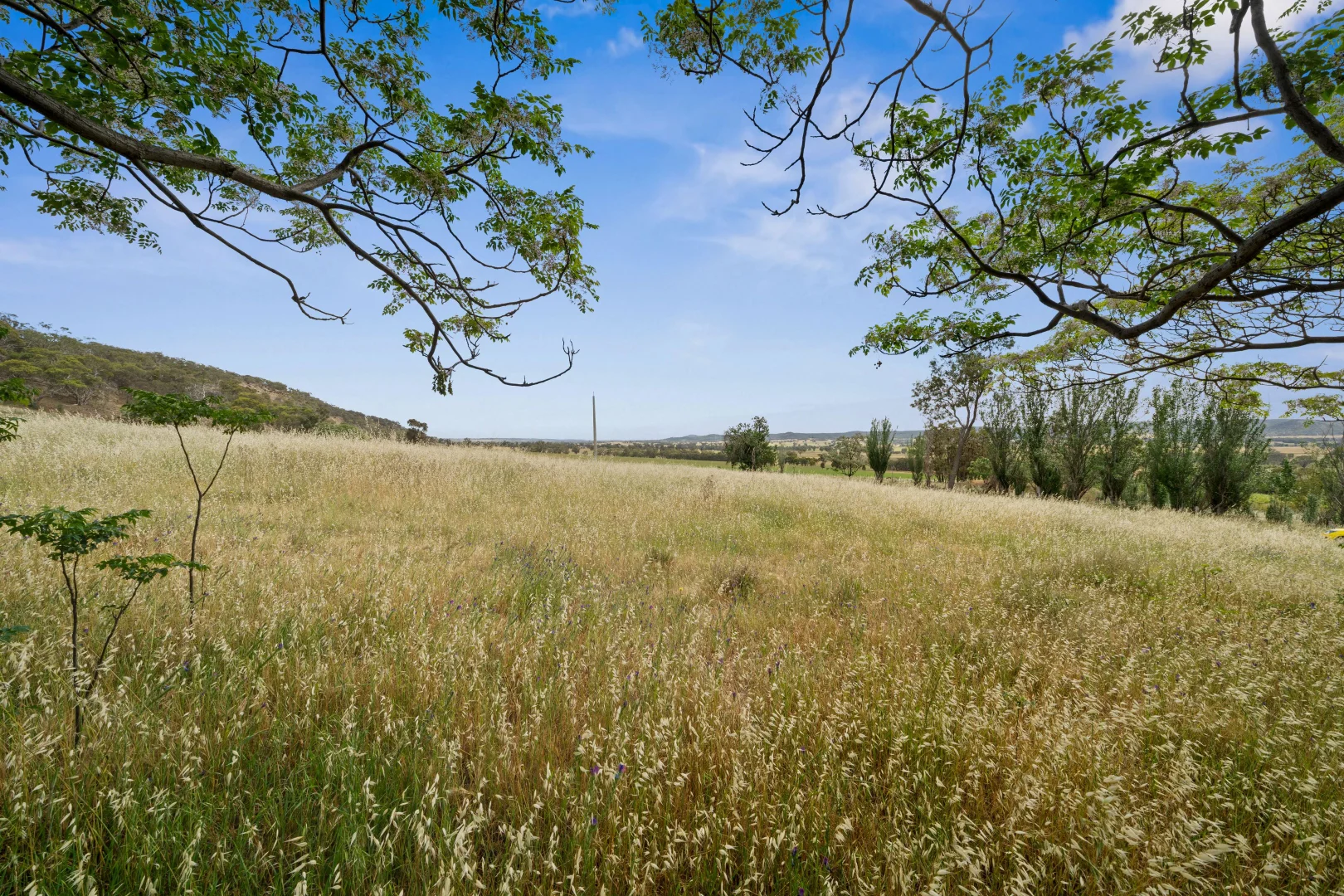 Image 14