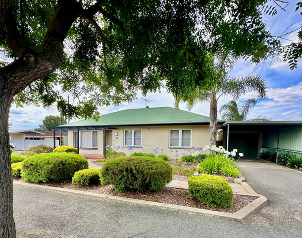 38 Gawler Street, Nuriootpa SA 5355