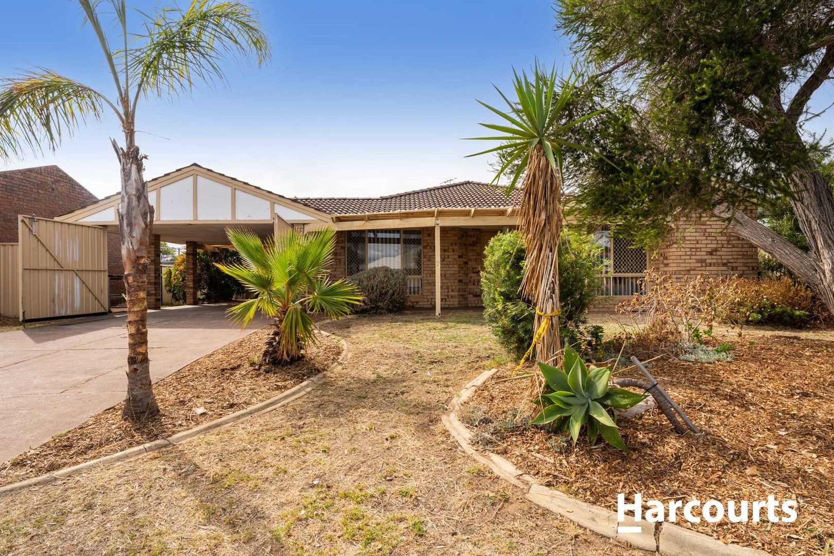 104 Leslie Street, Dudley Park WA 6210 House For Rent 600 Domain