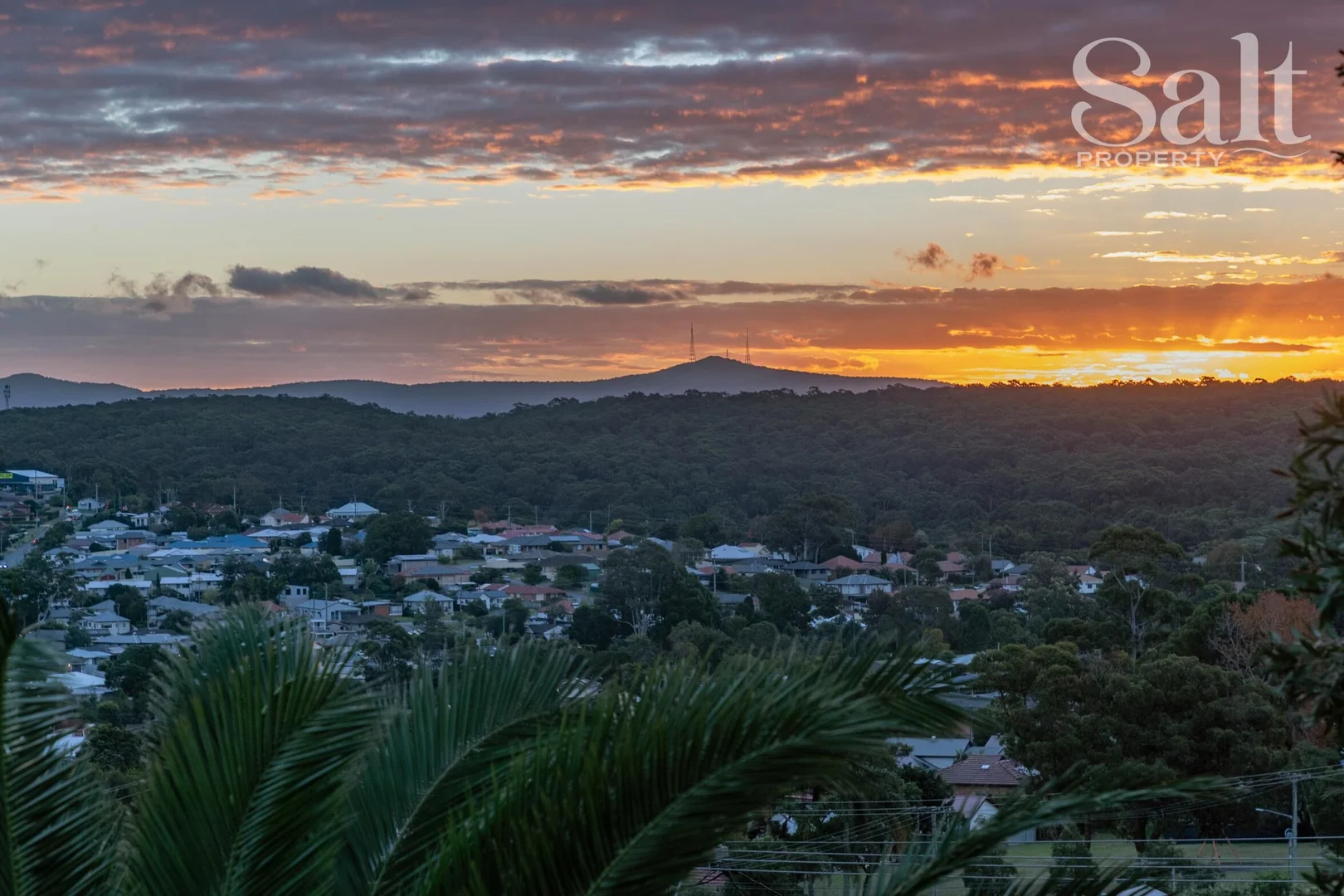 Image 17
