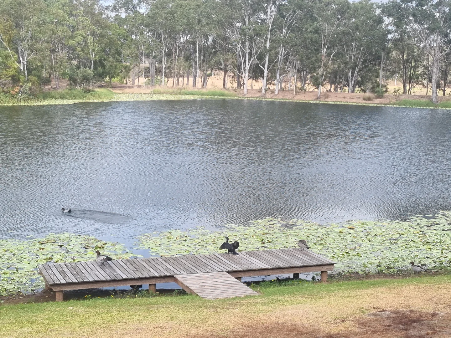 Additional image 31 of 64 Ghost Gum Road, Sharon QLD 4670