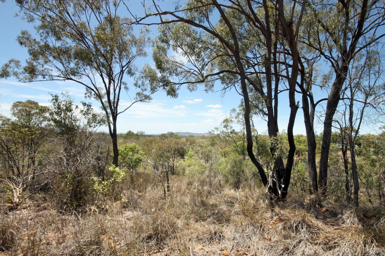 Lot 2 State Farm Road, Biloela QLD 4715, Image 2