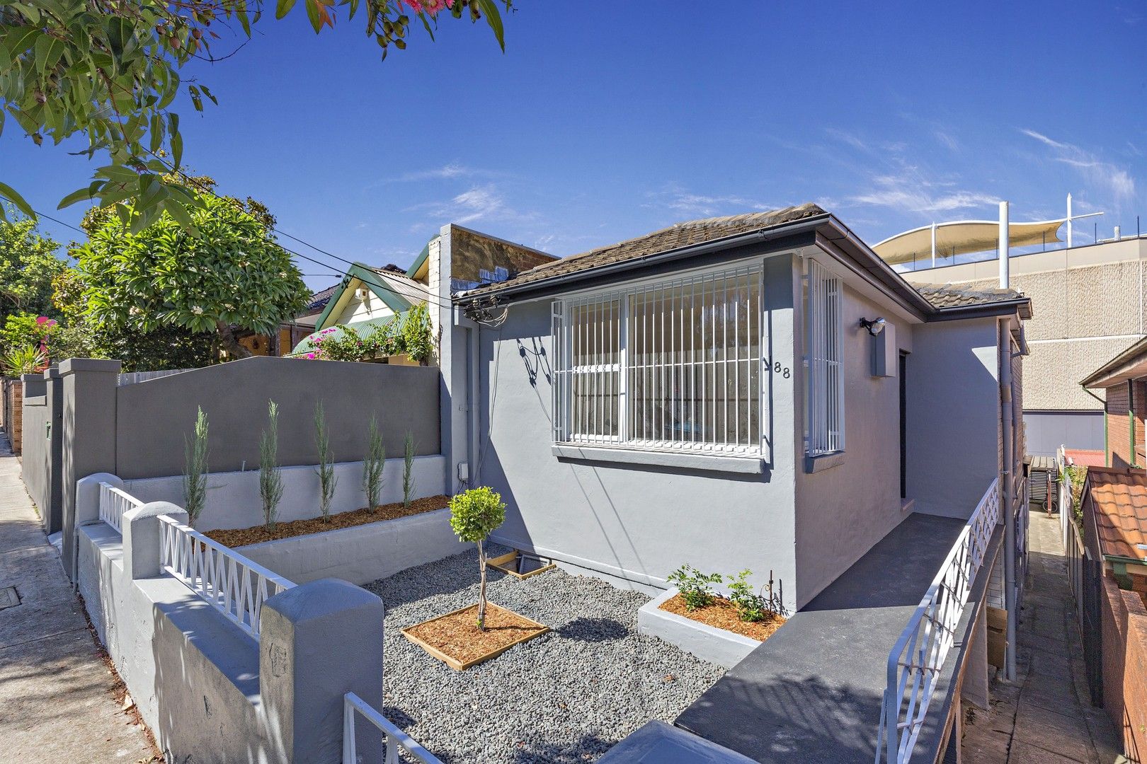 2/188 Marion Street, Leichhardt NSW 2040 Apartment For Rent Domain