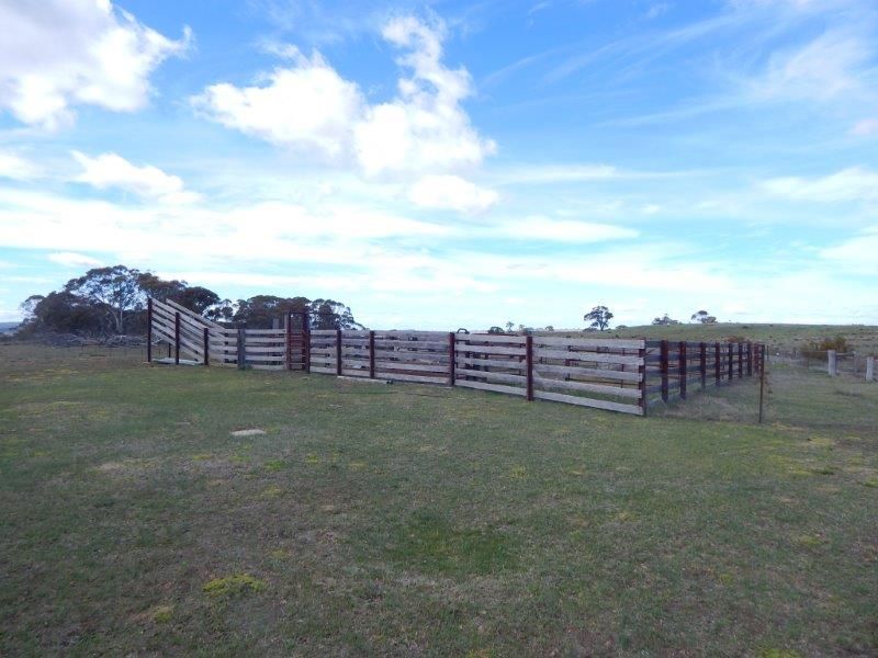 "Grandfathers Creek" Monaro Highway, Nimmitabel NSW 2631, Image 2