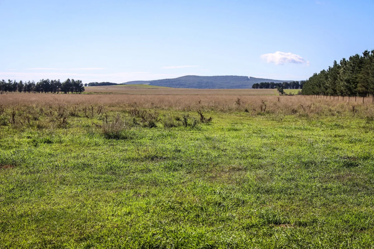 Additional image 2 of 1790 Braidwood Road, Tarago NSW 2580