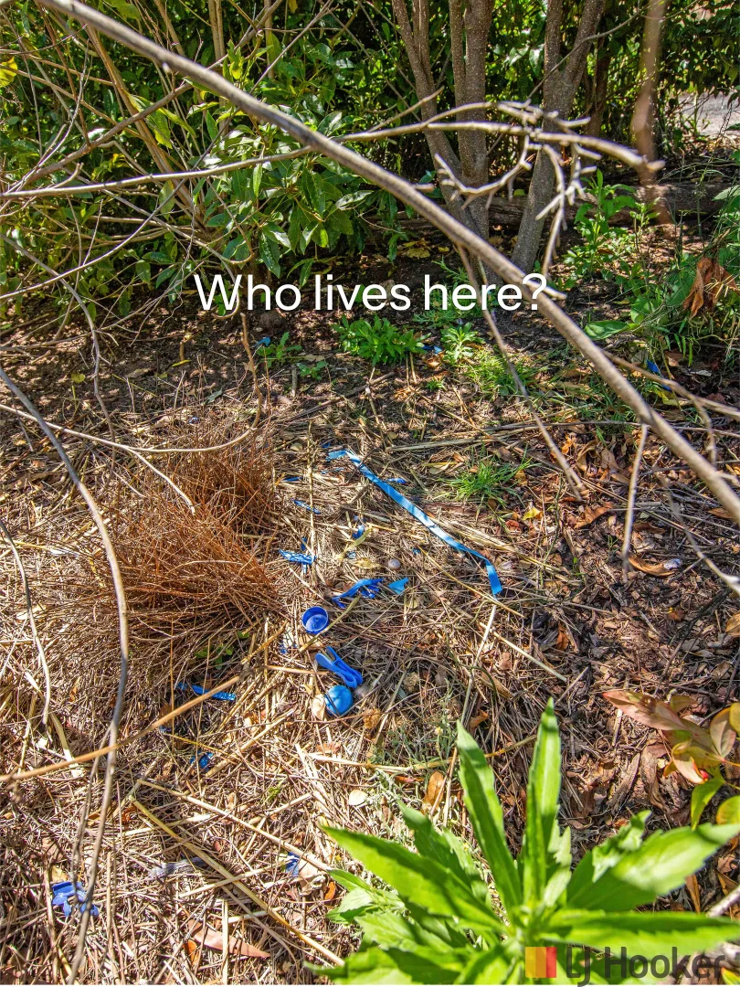 Additional image 11 of 748 The Ridge Road, Malua Bay NSW 2536