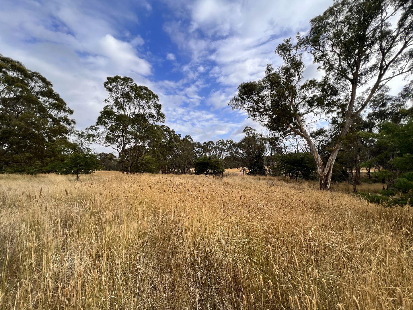 233 Brooks Creek Lane, Gundaroo NSW 2620, Image 1