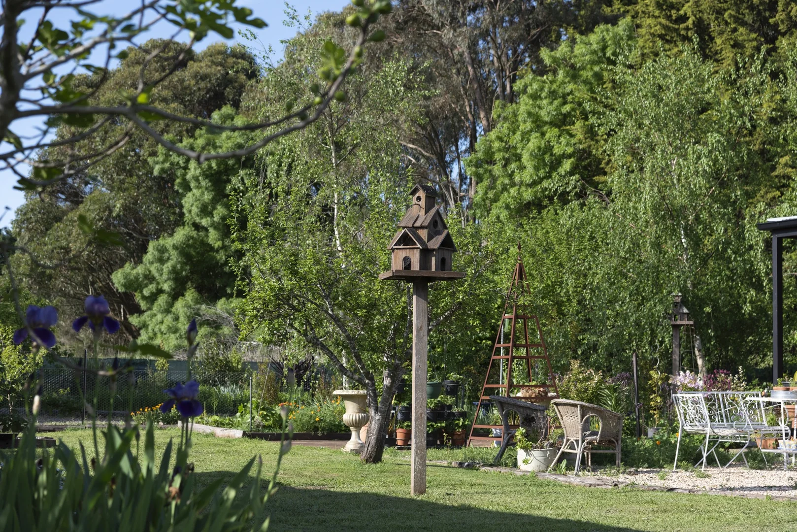 Image 18