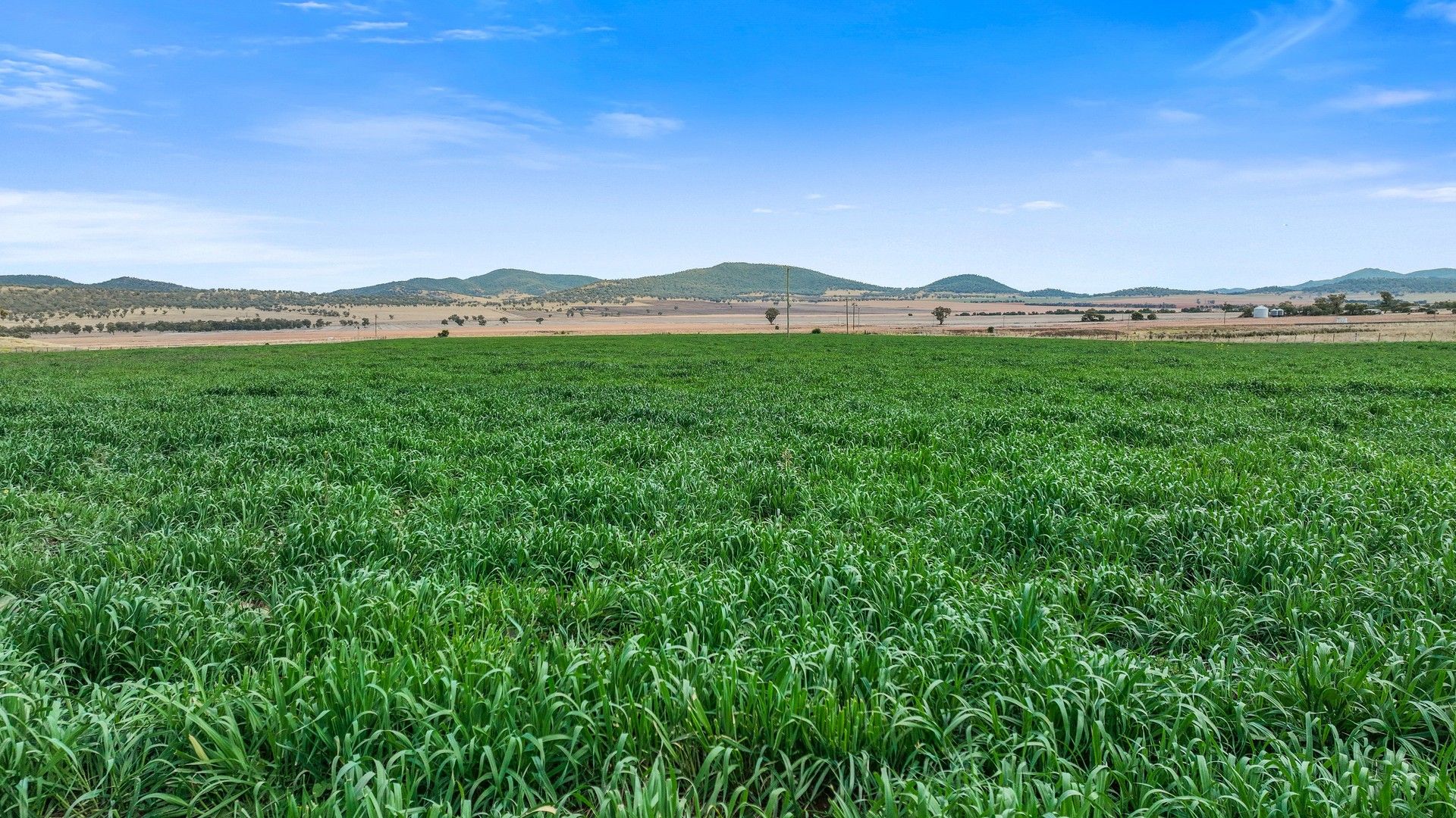 'Hillside' 22 Jones Road, Werris Creek NSW 2341 House for Sale