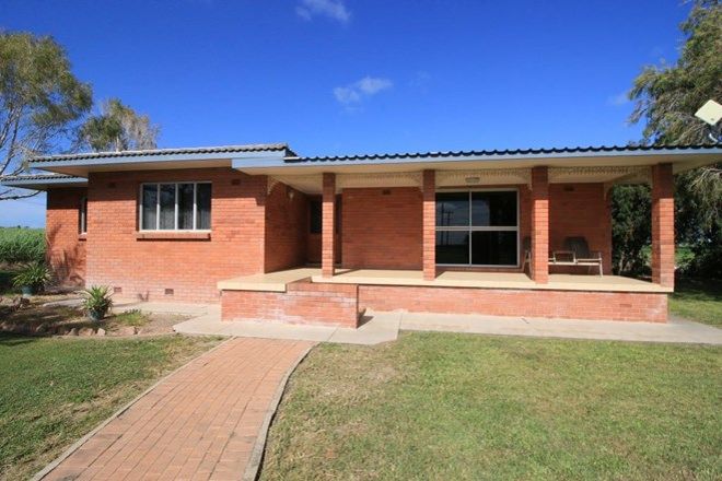 Picture of 514 Iona Rd, FREDERICKSFIELD QLD 4806