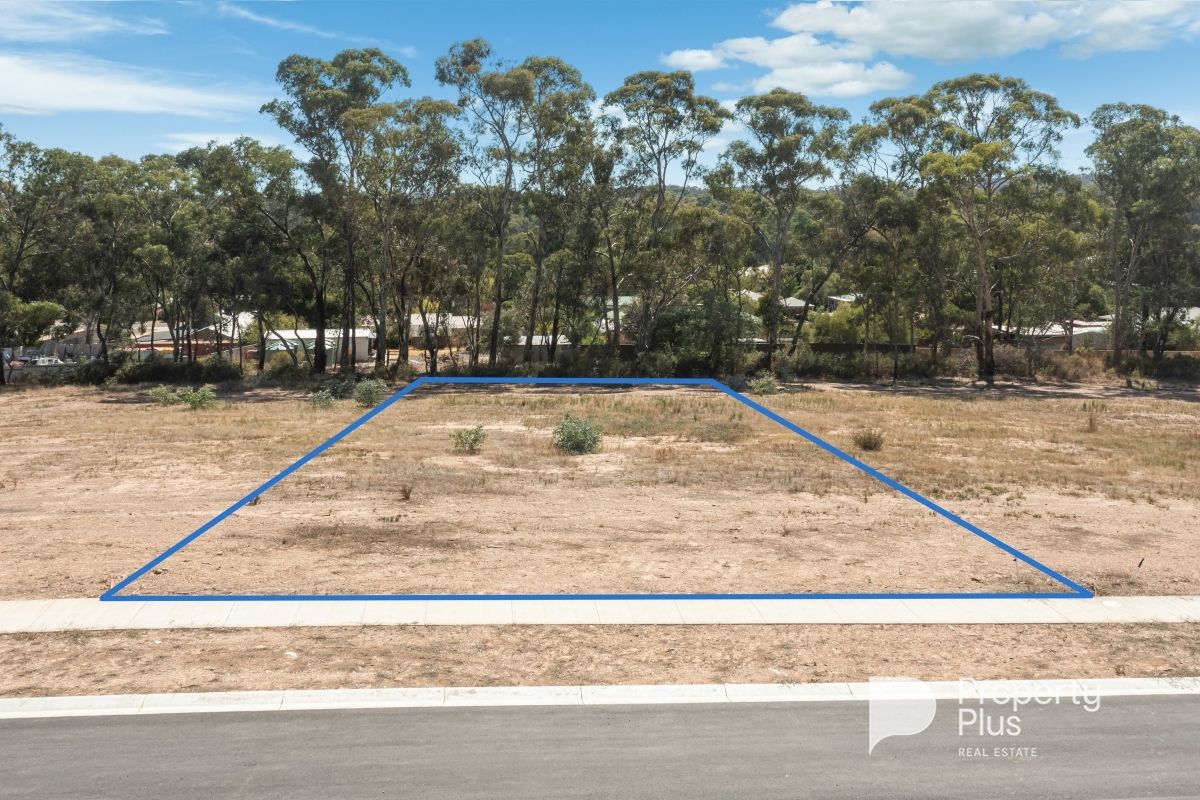 11 Protea Boulevard, Campbells Creek VIC 3451, Image 1