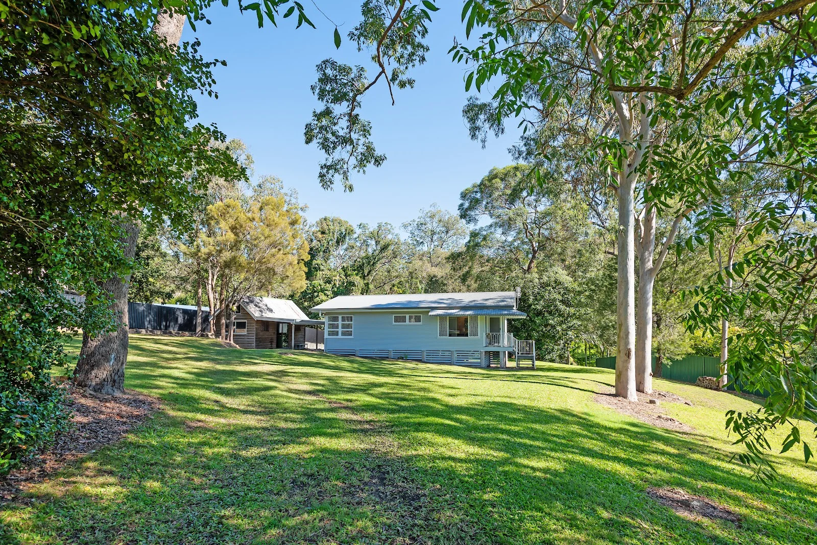 Image 12