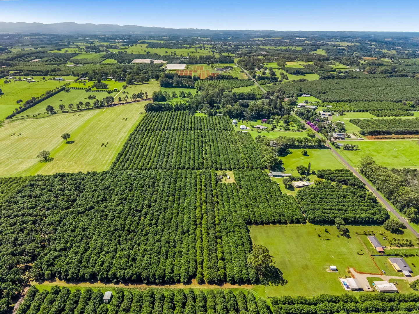 Additional image 20 of 502 Wardell Road, Alstonville NSW 2477