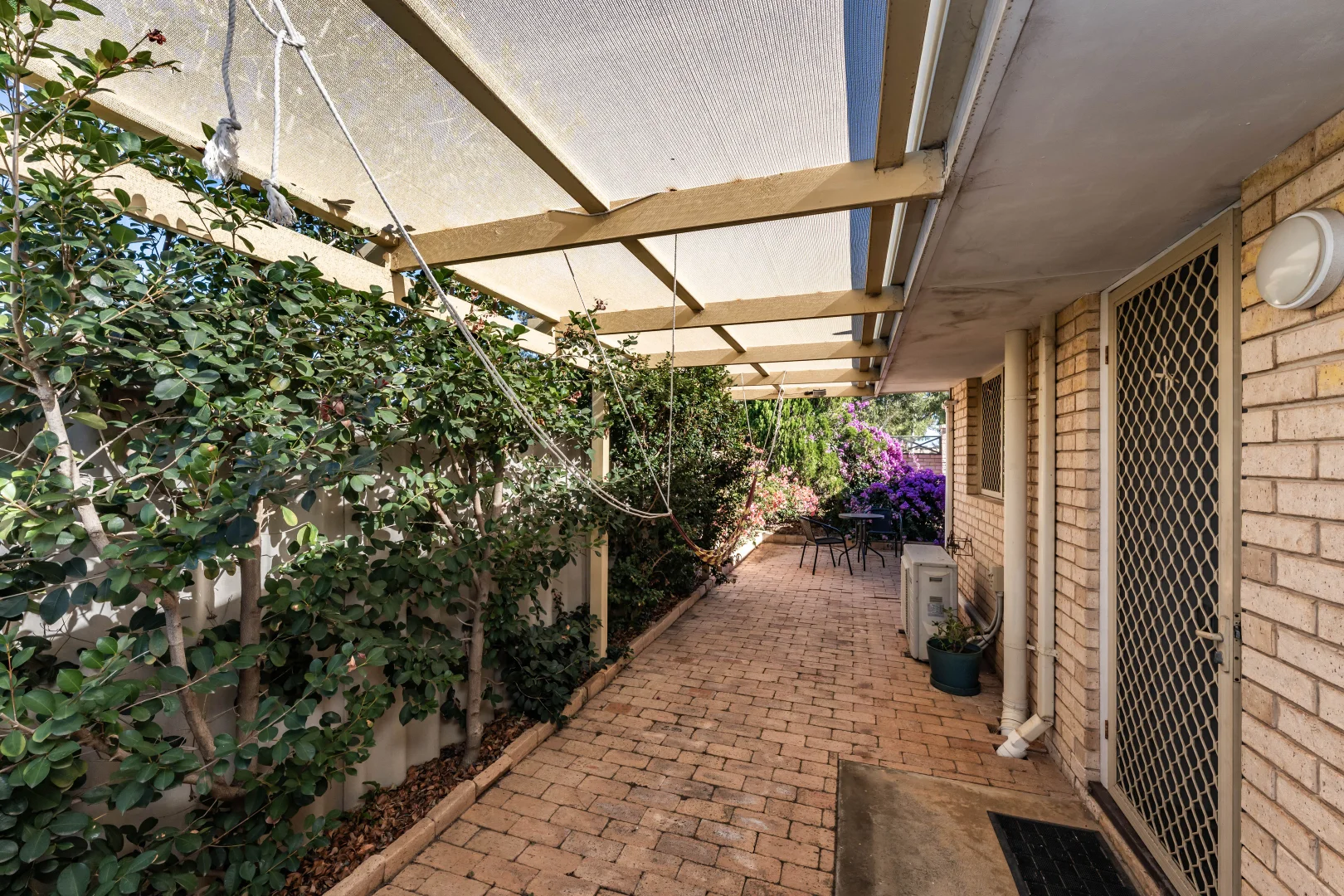 Image 12