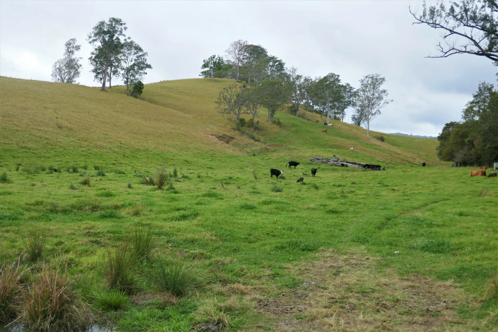 Additional image 13 of 35 Phelps Road, Kyogle NSW 2474