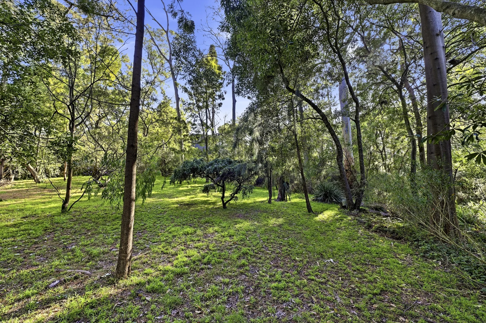 Additional image 16 of 5 Jeffery Street, Blackburn VIC 3130